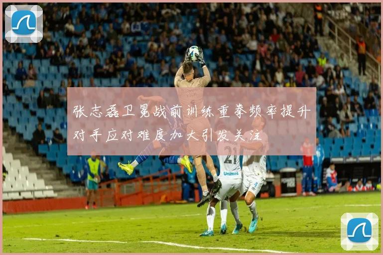 张志磊卫冕战前训练重拳频率提升对手应对难度加大引发关注